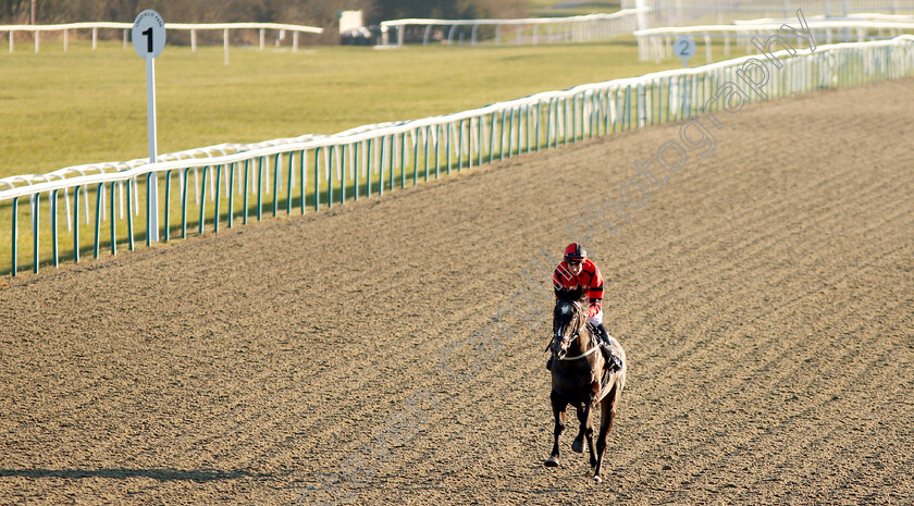 Greybychoice-0006 
 GREYBYCHOICE (Eoin Walsh) wins a walk-over for The Ladbrokes Home Of The Odds Boost Novice Stakes
Lingfield 23 Feb 2019 - Pic Steven Cargill / Racingfotos.com