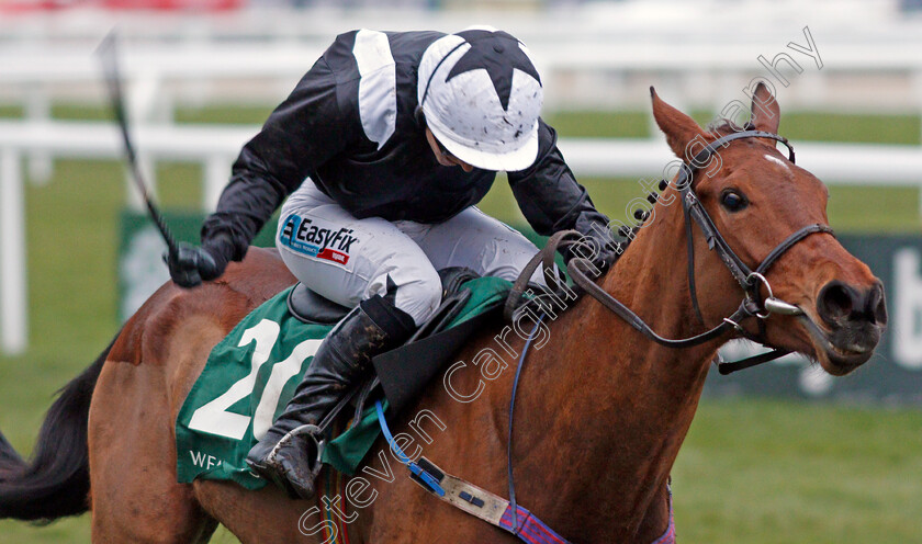 Relegate-0003 
 RELEGATE (Katie Walsh) wins The Weatherbys Champion Bumper Cheltenham 14 Mar 2018 - Pic Steven Cargill / Racingfotos.com