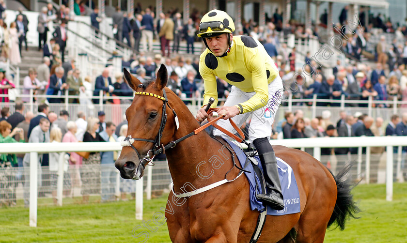 Liberty-Lane-0003 
 LIBERTY LANE (Clifford Lee)
York 18 May 2023 - Pic Steven Cargill / Racingfotos.com