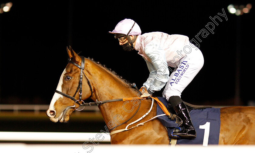 Andonno-0002 
 ANDONNO (Ben Curtis)
Wolverhampton 12 Mar 2021 - Pic Steven Cargill / Racingfotos.com