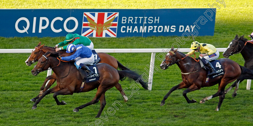 Anmaat-0009 
 ANMAAT (Jim Crowley) wins The Qipco Champion Stakes
Ascot 19 Oct 2024 - Pic Steven Cargill / Racingfotos.com