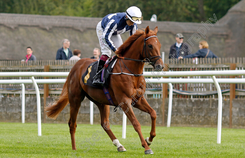 Lake-Forest-0001 
 LAKE FOREST (Cieren Fallon)
Newmarket 4 Aug 2023 - Pic Steven Cargill / Racingfotos.com