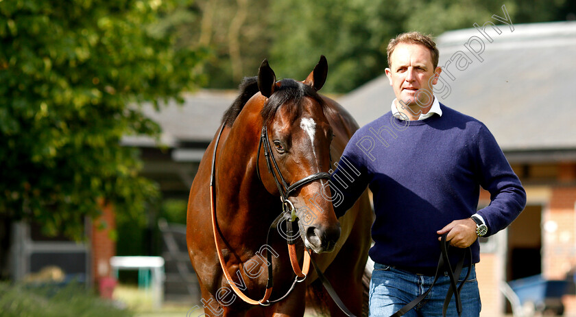 Blue-Point-0003 
 BLUE POINT and Charlie Appleby
Moulton Paddocks, Newmarket 28 Jun 2019 - Pic Steven Cargill / Racingfotos.com