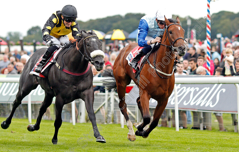 Owney-Madden-0003 
 OWNEY MADDEN (Rob Hornby) beats TROUBADOR (left) in The Sky Bet Nursery
York 21 Aug 2019 - Pic Steven Cargill / Racingfotos.com