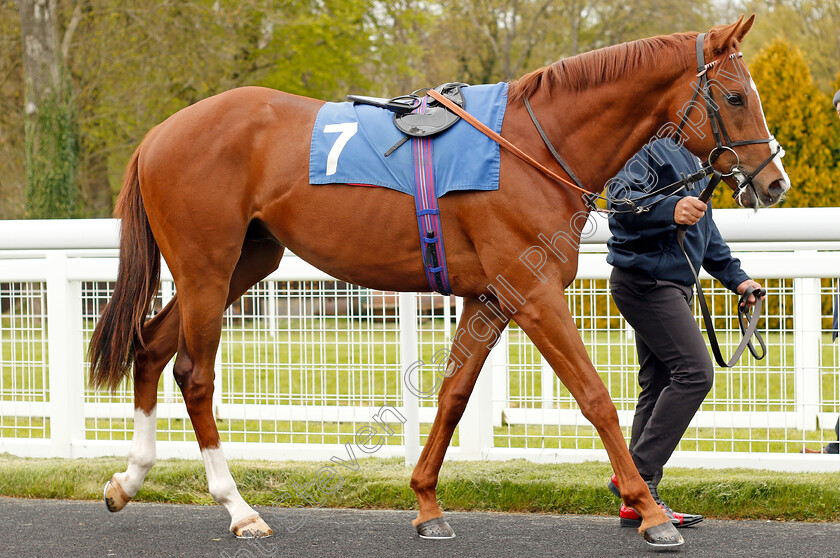 Whataguy-0002 
 WHATAGUY Salisbury 30 Apr 2018 - Pic Steven Cargill / Racingfotos.com