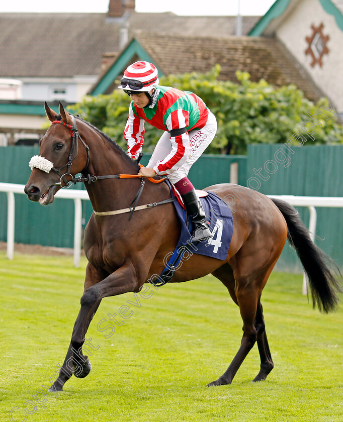 The-Spotlight-Kid-0007 
 THE SPOTLIGHT KID (Cieren Fallon) winner of The At The Races App Market Movers Handicap
Yarmouth 15 Sep 2022 - Pic Steven Cargill / Racingfotos.com