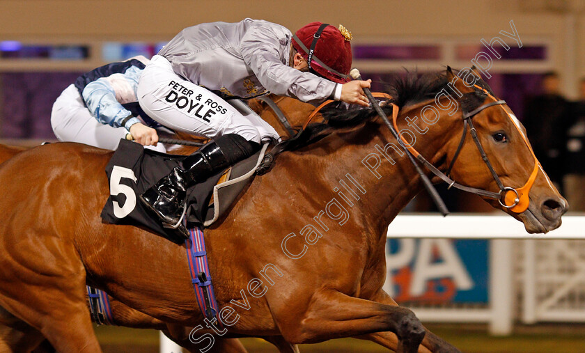 Mushtaq-0007 
 MUSHTAQ (Tom Marquand) wins The Bet toteJackpot At betfred.com EBF Novice Stakes Chelmsford 7 Dec 2017 - Pic Steven Cargill / Racingfotos.com