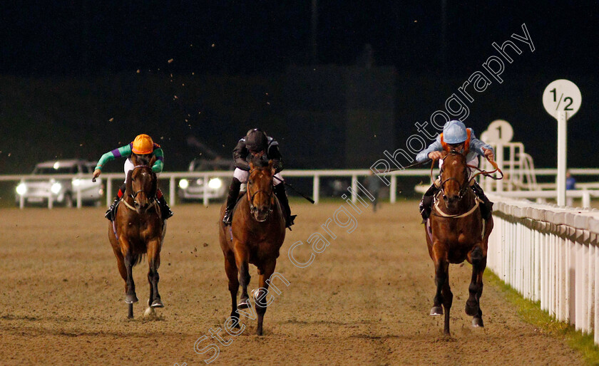 If-You-Dare-0001 
 IF YOU DARE (right, Joe Fanning) beats BILLY MILL (centre) in The tote.co.uk Free Streaming Every UK Race Handicap
Chelmsford 14 Oct 2021 - Pic Steven Cargill / Racingfotos.com