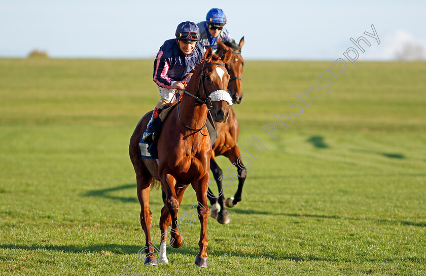 Juan-Bermudez-0001 
 JUAN BERMUDEZ (Andrea Atzeni) winner of The Let's Talk About Race Webinar EBF Future Stayers Novice Stakes
Newmarket 20 Oct 2021 - Pic Steven Cargill / Racingfotos.com