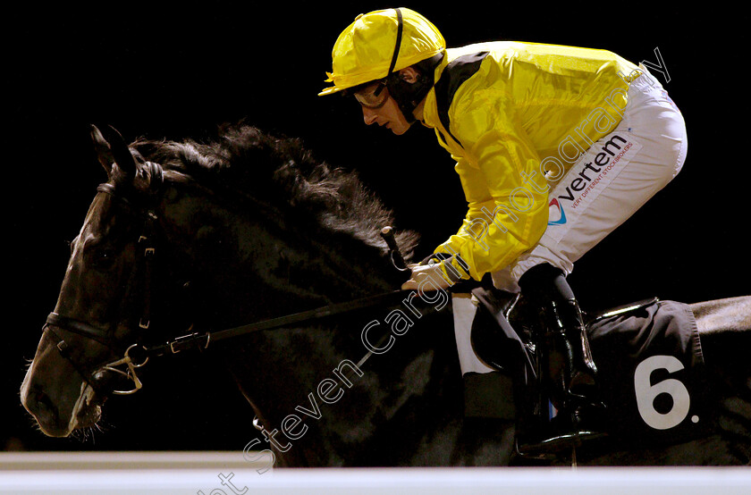 Smarter-0001 
 SMARTER (P J McDonald) 
Chelmsford 29 Nov 2018 - Pic Steven Cargill / Racingfotos.com