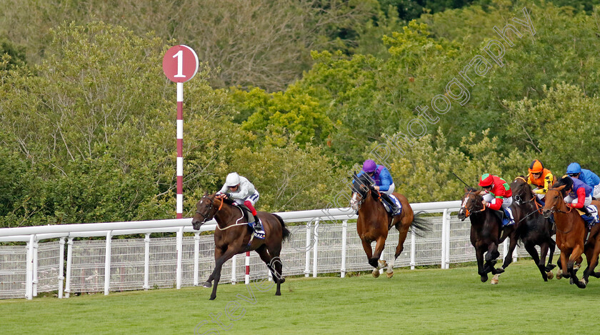 Forest-Falcon-0002 
 FOREST FALCON (Frankie Dettori) wins The Coral Chesterfield Cup Handicap
Goodwood 26 Jul 2022 - Pic Steven Cargill / Racingfotos.com