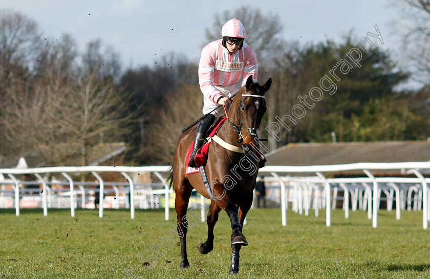 Roysse-0001 
 ROYSSE (Ben Jones)
Kempton 22 Feb 2025 - Pic Steven Cargill / Racingfotos.com