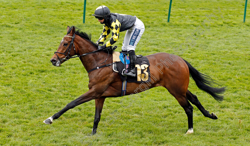 Widaad-0005 
 WIDAAD (Nicola Currie) wins The Read Joseph O'Brien On Betting Betfair Handicap
Newmarket 14 May 2021 - Pic Steven Cargill / Racingfotos.com