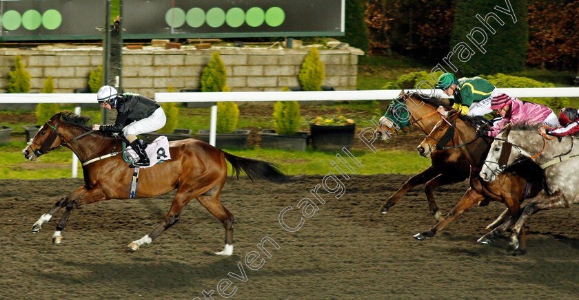 Kangaroo-Point-0003 
 KANGAROO POINT (Richard Kingscote) wins The Join Racing TV Now Handicap
Kempton 3 Feb 2021 - Pic Steven Cargill / Racingfotos.com