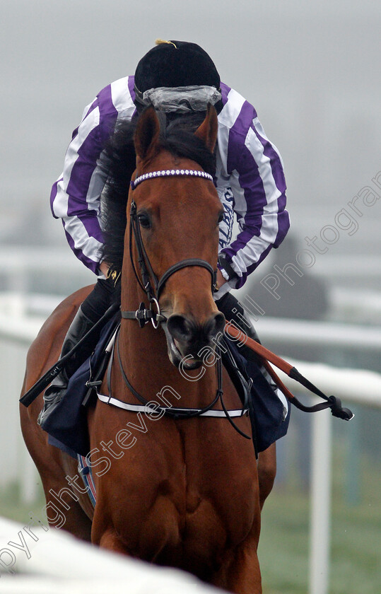 Hoodwinker-0002 
 HOODWINKER (Tom Marquand)
Doncaster 7 Nov 2020 - Pic Steven Cargill / Racingfotos.com