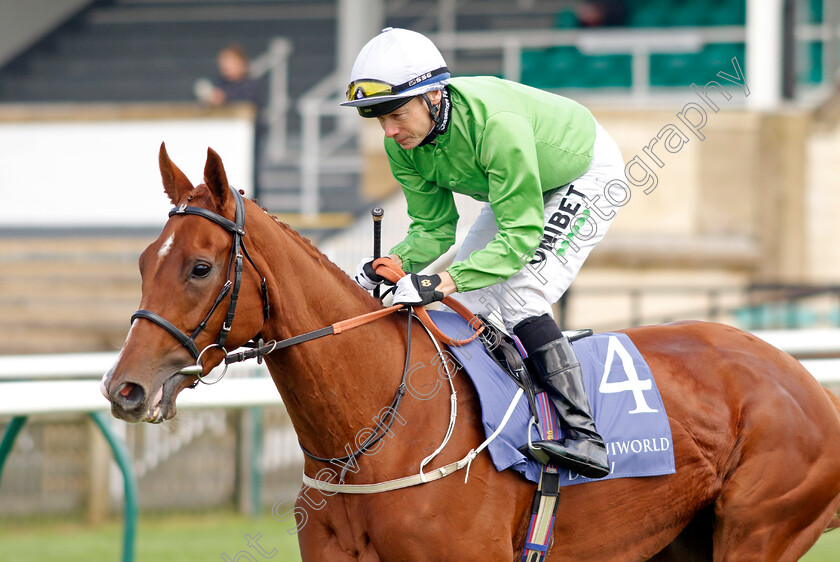 Arisaig-0002 
 ARISAIG (Jamie Spencer) 
Newmarket 27 Sep 2024 - Pic Steven Cargill / Racingfotos.com