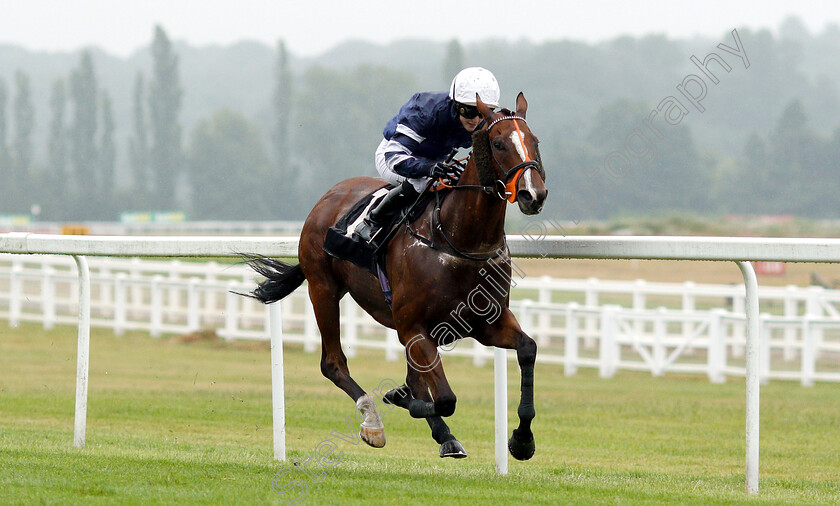 Misu-Pete-0002 
 MISU PETE (Isobel Francis) wins The Oakley Coachbuilders Apprentice Handicap
Newbury 19 Jul 2019 - Pic Steven Cargill / Racingfotos.com