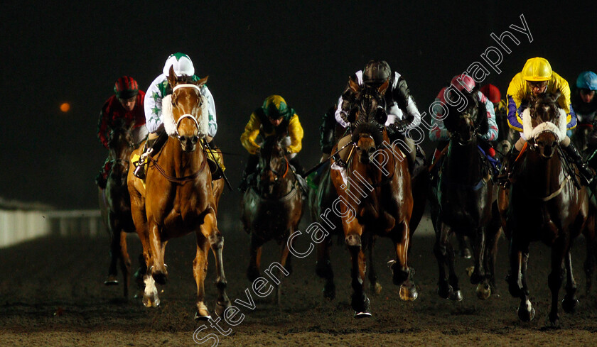 Busby-0003 
 BUSBY (left, Martin Dwyer) beats FULL INTENTION (right) and STRAWBERRY JACK (centre) in The 32Red On The App Store Handicap
Kempton 27 Nov 2019 - Pic Steven Cargill / Racingfotos.com