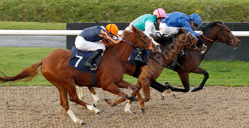 Firebird-Song-0004 
 FIREBIRD SONG (farside, George Wood) beats FRISELLA (centre) and PERFECT SHOWDANCE (left) in The Ladbrokes Home Of The Odds Boost Fillies Novice Stakers Div2
Wolverhampton 28 Nov 2018 - Pic Steven Cargill / Racingfotos.com