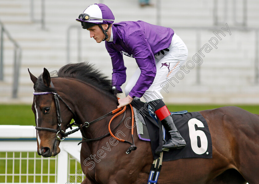 Enchanting-Empress-0007 
 ENCHANTING EMPRESS (David Egan) winner of The Royal Ascot Two-Year-Old Trial EBF Conditions Stakes
Ascot 1 May 2024 - Pic Steven Cargill / Racingfotos.com