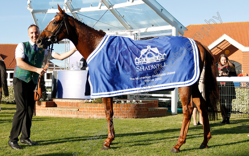 Communique-0004 
 COMMUNIQUE (Ryan Moore) after The Mukhadram Godolphin Stakes
Newmarket 28 Sep 2018 - Pic Steven Cargill / Racingfotos.com