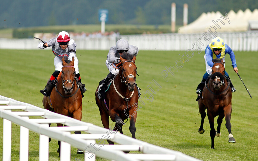 Southern-Voyage-0002 
 SOUTHERN VOYAGE (centre, Daniel Tudhope) beats BY STARLIGHT (left) and CAMELOT TALES (right) in The Sebastian's Action Trust Handicap
Ascot 24 Jul 2021 - Pic Steven Cargill / Racingfotos.com