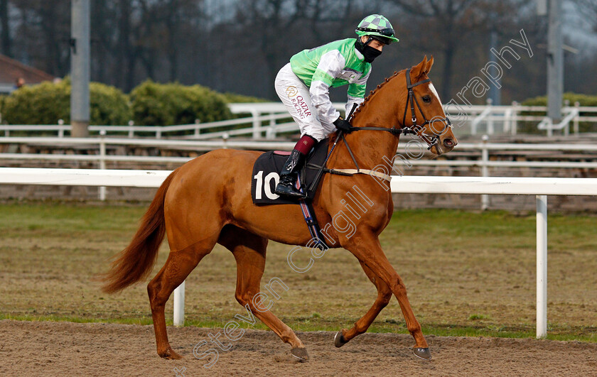 Katie s-Kitten-0001 
 KATIE'S KITTEN (Cieren Fallon)
Chelmsford 27 Nov 2021 - Pic Steven Cargill / Racingfotos.com