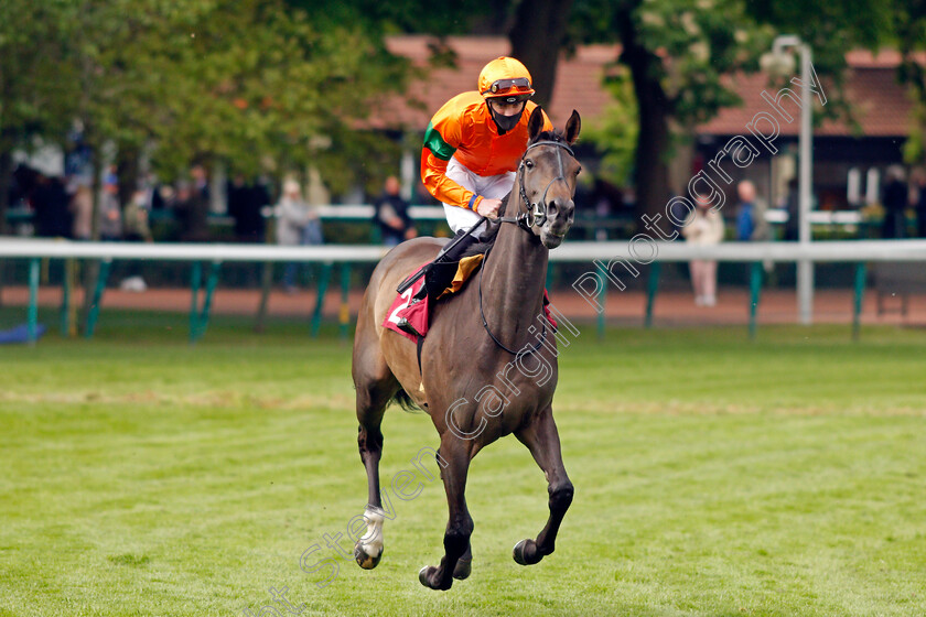 Golden-Viola-0002 
 GOLDEN VIOLA (James Doyle)
Haydock 28 May 2021 - Pic Steven Cargill / Racingfotos.com