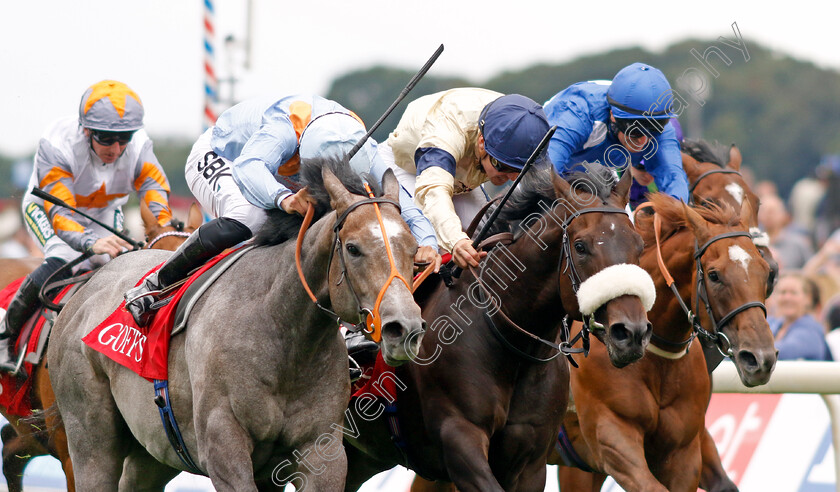 Shouldvebeenaring-0005 
 SHOULDVEBEENARING (left, Sean Levey) beats WASHINGTON HEIGHTS (centre) in The Goffs UK Harry Beeby Premier Yearling Stakes
York 18 Aug 2022 - Pic Steven Cargill / Racingfotos.com