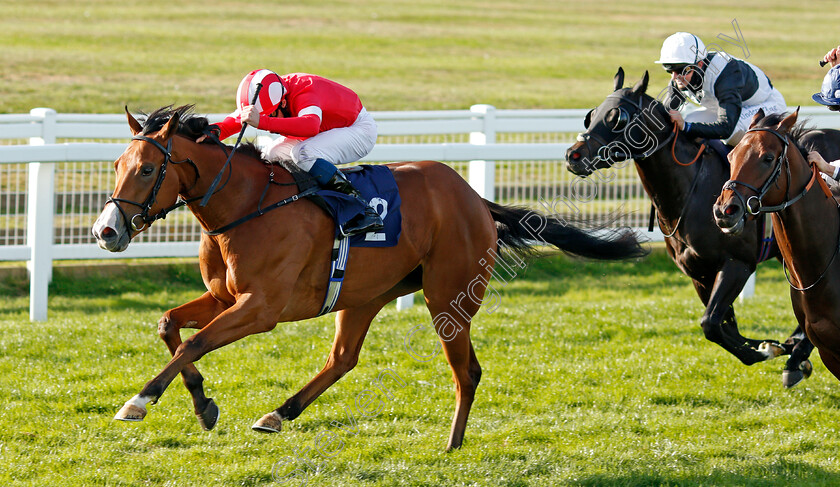 Al-Saariyah-0002 
 AL SAARIYAH (William Buick) wins The Ken Lindsay Memorial Nursery
Yarmouth 17 Sep 2020 - Pic Steven Cargill / Racingfotos.com