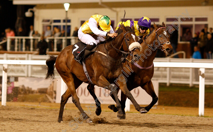 Pinnata-0006 
 PINNATA (left, Sean Levey) beats GLORY OF PARIS (right) in The Bet In Play At totesport.com Handicap
Chelmsford 29 Nov 2018 - Pic Steven Cargill / Racingfotos.com