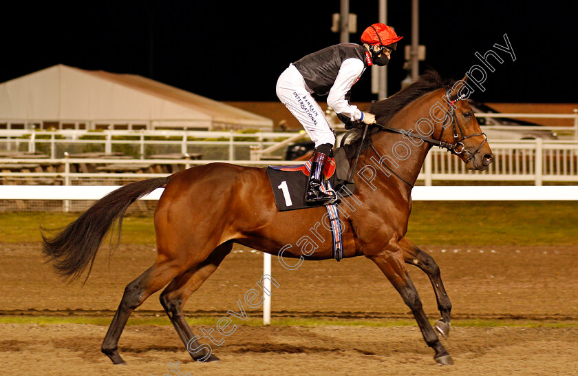 Golden-Rules-0001 
 GOLDEN RULES (Robert Havlin) winner of The chelmsfordcityracecourse.com Novice Stakes
Chelmsford 22 Oct 2020 - Pic Steven Cargill / Racingfotos.com