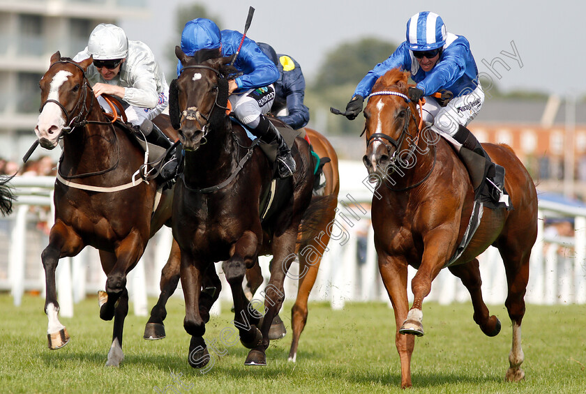 Mankib-0004 
 MANKIB (right, Jim Crowley) beats TOP SCORE (centre) and LAKE VOLTA (left) in The Grundon Recycling Handicap
Newbury 21 Jul 2018 - Pic Steven Cargill / Racingfotos.com