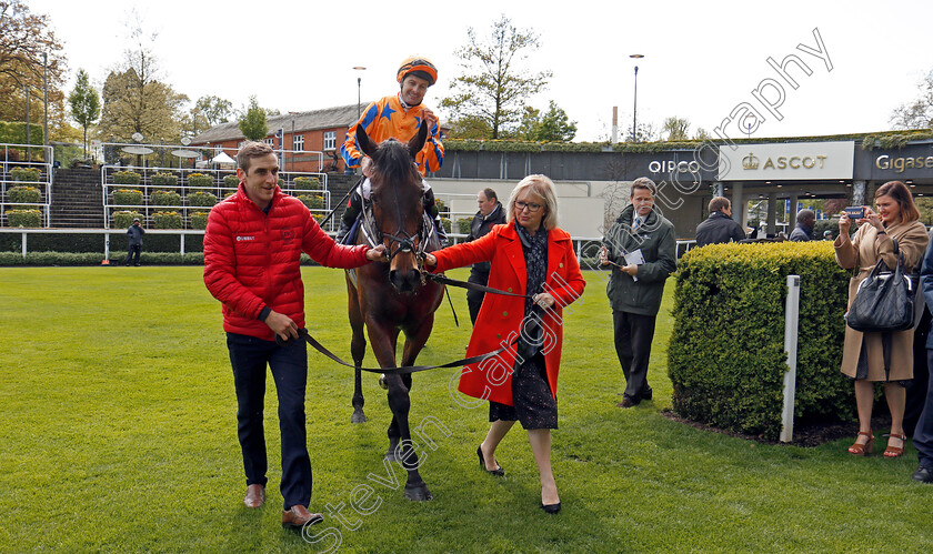 Torcedor-0010 
 TORCEDOR (Colm O'Donoghue) led in by owner Mrs Ellis after The Longines Sagaro Stakes Ascot 2 May 2018 - Pic Steven Cargill / Racingfotos.com