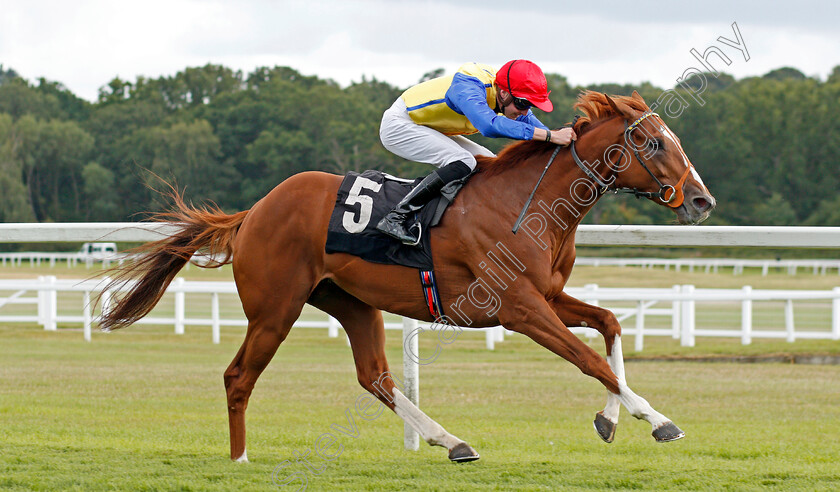 Rhythmic-Intent-0003 
 RHYTHMIC INTENT (James Doyle) wins The Frontier British EBF Maiden Stakes
Newbury 17 Aug 2019 - Pic Steven Cargill / Racingfotos.com