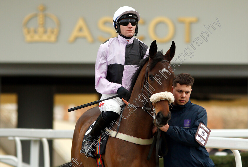 El-Hageb-Rose-0001 
 EL HAGEB ROSE (Nick Scholfield)
Ascot 21 Dec 2018 - Pic Steven Cargill / Racingfotos.com