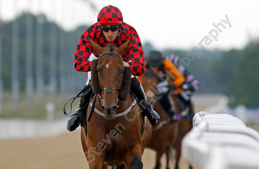 Reclaim-Victory 
 RECLAIM VICTORY (Matt Brown)
Newcastle 24 Jun 2022 - Pic Steven Cargill / Racingfotos.com