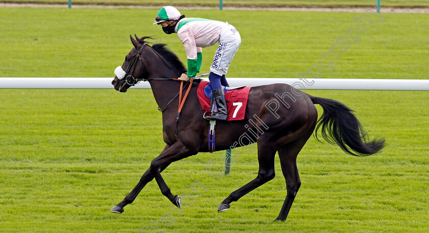 Skibo-Castle-0001 
 SKIBO CASTLE (David Probert)
Haydock 3 Sep 2020 - Pic Steven Cargill / Racingfotos.com