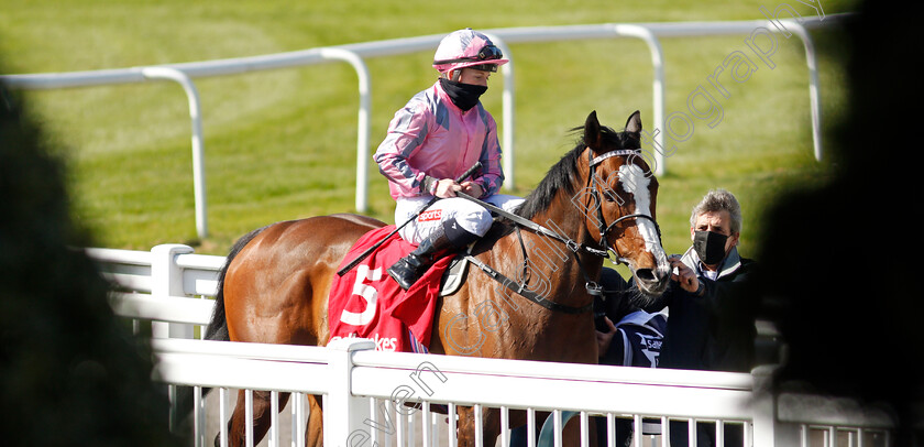 Pholas-0007 
 PHOLAS (Hollie Doyle) after The Ladbrokes All-Weather Fillies and Mares Championships Conditions Stakes
Lingfield 2 Apr 2021 - Pic Steven Cargill / Racingfotos.com