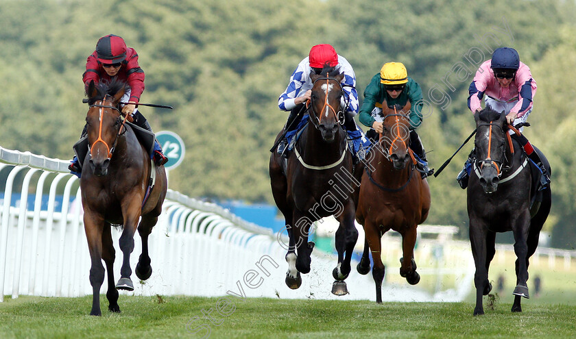 Rogue-0002 
 ROGUE (left, Thore Hammer Hansen) beats LETHAL LUNCH (right) and LOS CAMACHOS (2nd left) in The coral.co.uk Handicap
Sandown 7 Jul 2018 - Pic Steven Cargill / Racingfotos.com