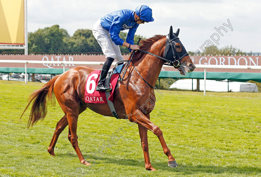 Jalmoud-0001 
 JALMOUD (James Doyle)
Goodwood 1 Aug 2019 - Pic Steven Cargill / Racingfotos.com