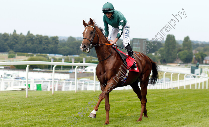 Extra-Elusive-0002 
 EXTRA ELUSIVE (Ryan Moore)
Sandown 5 Jul 2019 - Pic Steven Cargill / Racingfotos.com