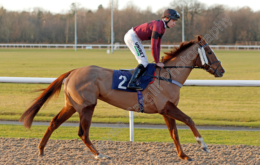 Emily-Goldfinch-0001 
 EMILY GOLDFINCH (Luke Morris)
Wolverhampton 3 Jan 2020 - Pic Steven Cargill / Racingfotos.com