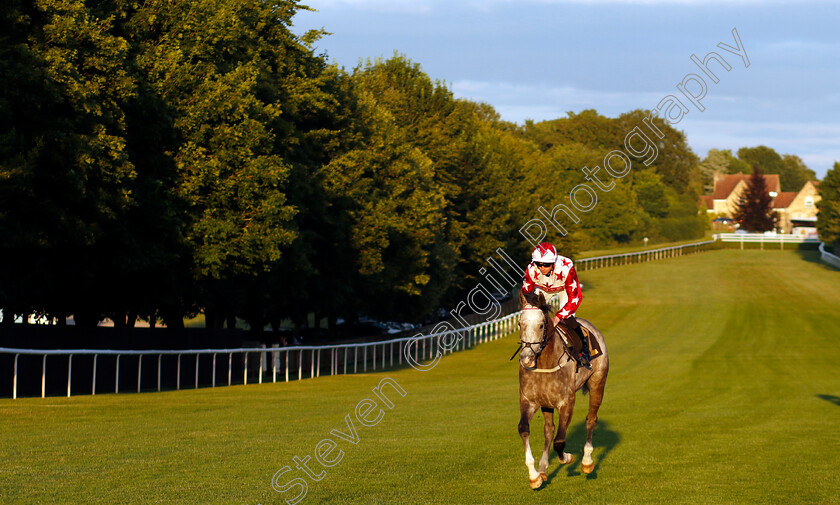 Savanna-King-0002 
 SAVANNA KING (Jack Mitchell)
Newmarket 28 Jun 2024 - Pic Steven Cargill / Racingfotos.com