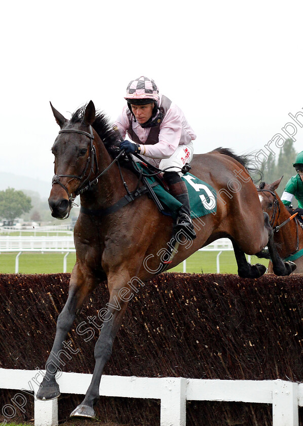 Marcle-Ridge-0006 
 MARCLE RIDGE (Sam Jukes) wins The KTDA Racing Open Hunters Chase
Cheltenham 3 May 2019 - Pic Steven Cargill / Racingfotos.com