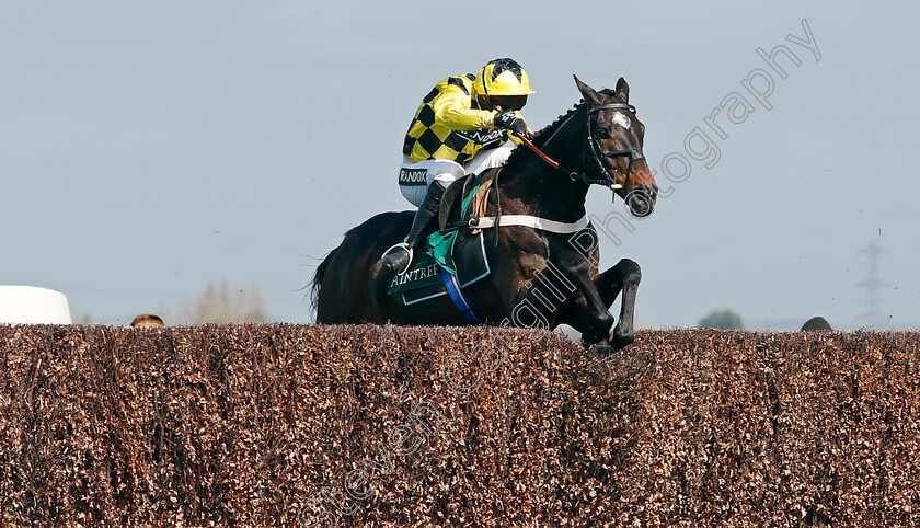 Shishkin-0002 
 SHISHKIN (Nico de Boinville) wins The Alder Hey Aintree Bowl Chase
Aintree 13 Apr 2023 - Pic Steven Cargill / Racingfotos.com