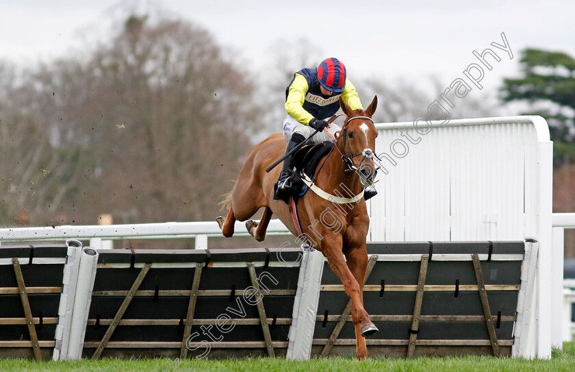 Pic-Roc-0002 
 PIC ROC (Ben Jones) wins The Ascot Shop Novices Hurdle
Ascot 17 Feb 2024 - Pic Steven Cargill / Racingfotos.com