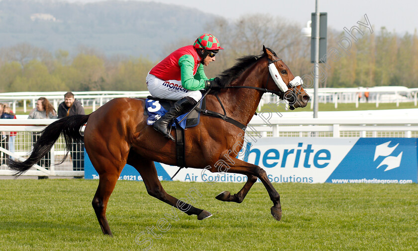 Cobra-De-Mai-0006 
 COBRA DE MAI (Harry Skelton) wins The Weatherite Handicap Chase
Cheltenham 17 Apr 2019 - Pic Steven Cargill / Racingfotos.com