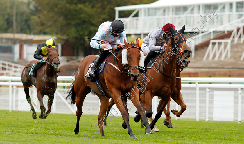 The-Lamplighter-0005 
 THE LAMPLIGHTER (left, Jack Mitchell) beats AL DAWODIYA (right) in The tote.co.uk Home Of The Placepot Handicap
Goodwood 23 Sep 2020 - Pic Steven Cargill / Racingfotos.com