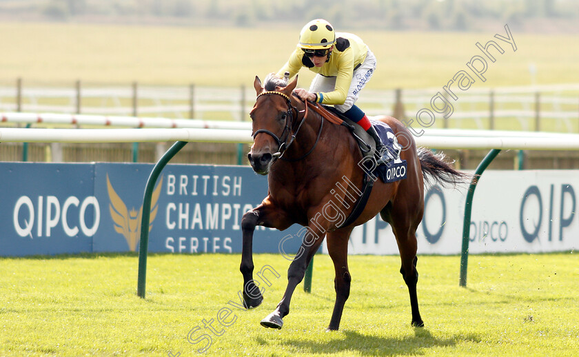 UAE-Jewel-0004 
 UAE JEWEL (David Egan) wins The Lightning Spear Newmarket Stakes
Newmarket 4 May 2019 - Pic Steven Cargill / Racingfotos.com